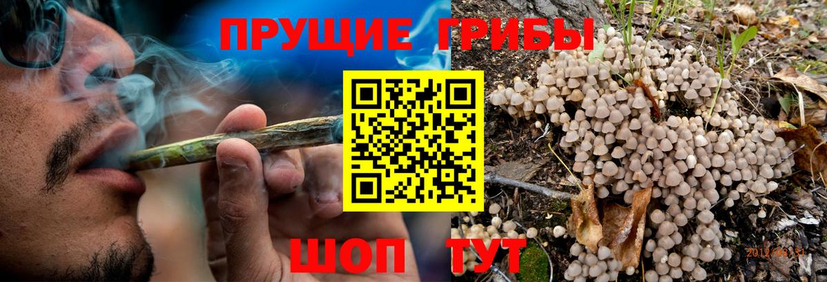 Псилоцибиновые грибы MAGIC MUSHROOMS Советская Гавань