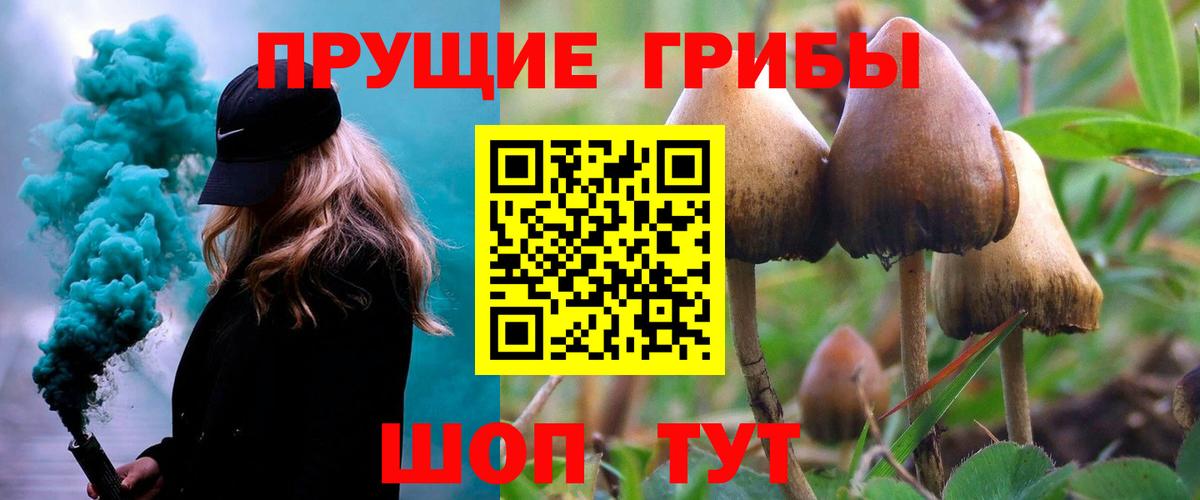 Советская Гавань  Галлюциногенные грибы Psilocybine cubensis  даркнет сайт  Галлюциногенные грибы MAGIC MUSHROOMS  Вход с VPN 